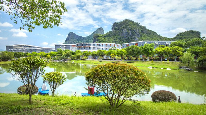 电子配件样品申请流程详解：如何顺利拿到心仪产品**