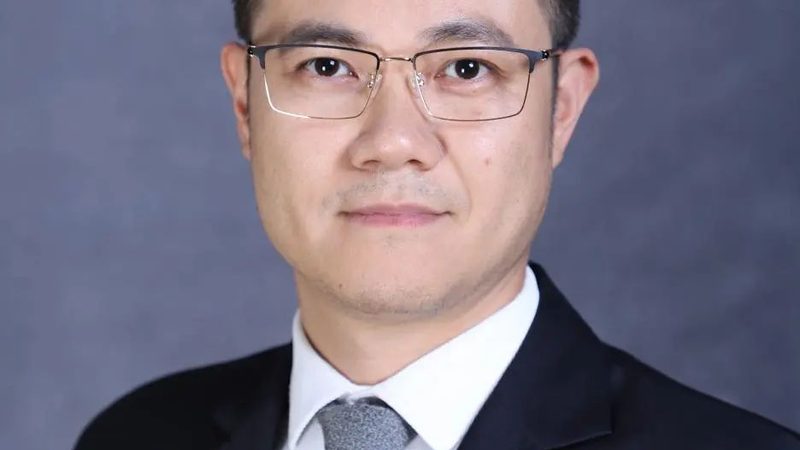 解码集成电路型号：揭秘查询技巧与要点